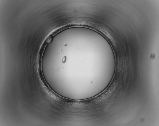 X0000099990984200806131430