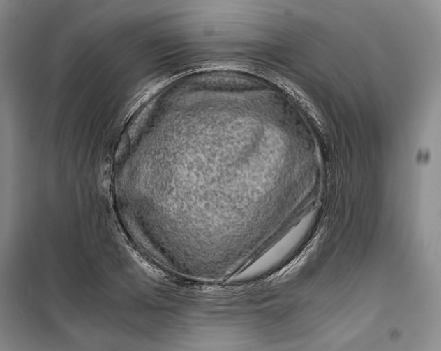 X0000099990985200806131430