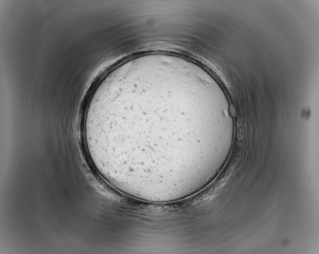 X0000099990987200806131430