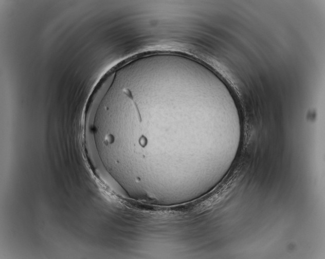 X0000099990988200806131430