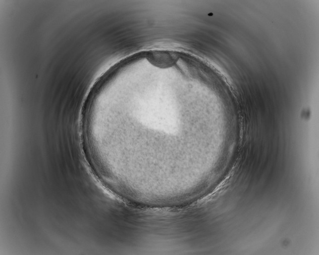 X0000099990990200806131430