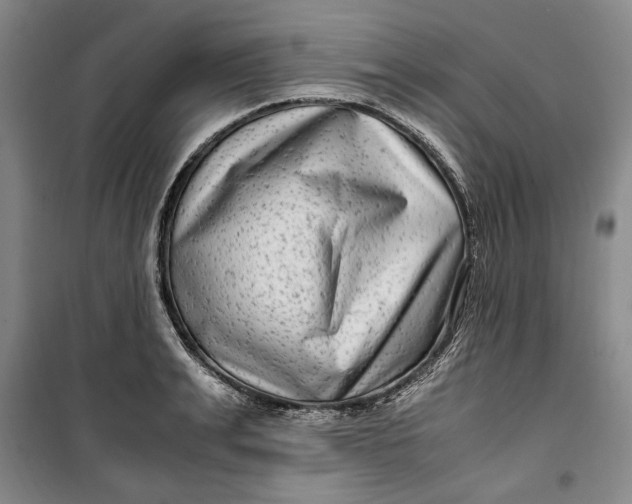 X0000099990991200806131430