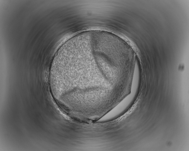 X0000099990993200806131430