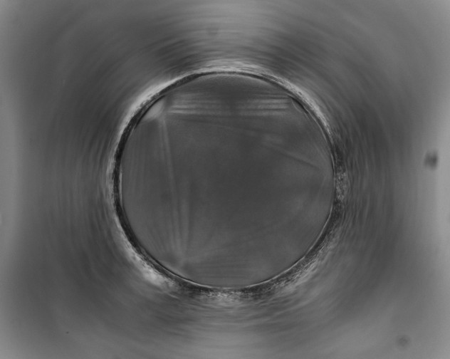 X0000099990995200806131430