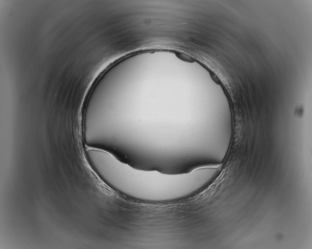 X0000099990996200806131430