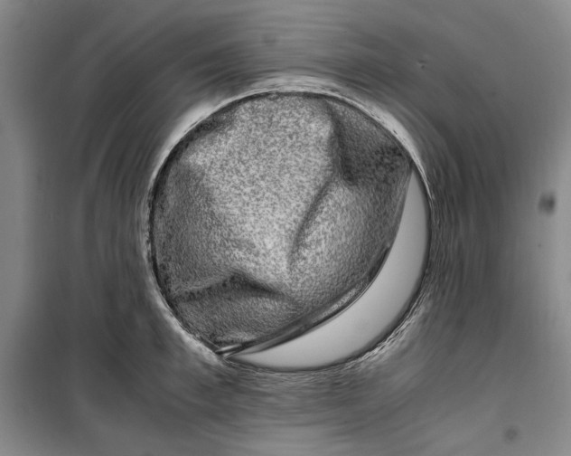 X0000099990997200806131430