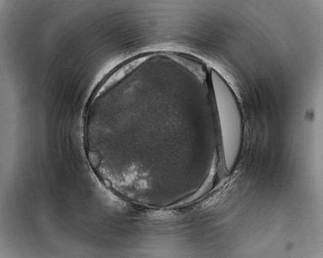 X0000099990998200806131430