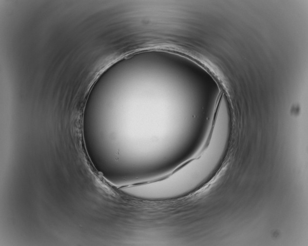 X0000099991001200806131430