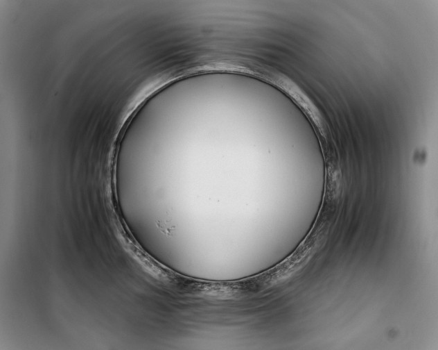 X0000099991002200806131430