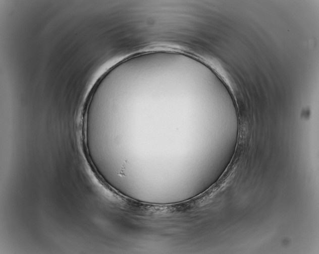 X0000099991003200806131430