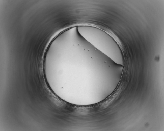 X0000099991004200806131430