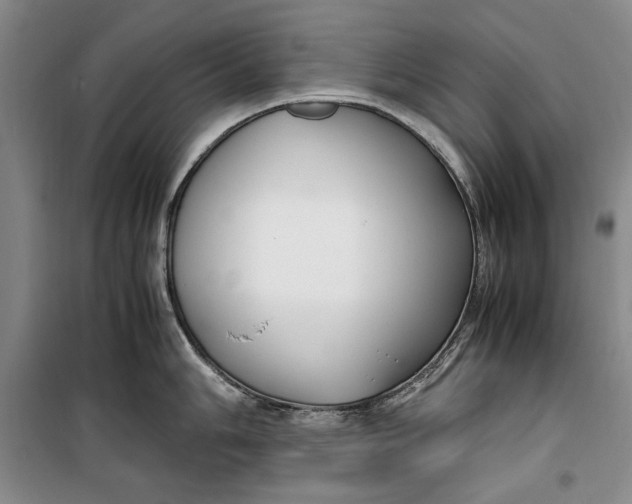 X0000099991006200806131430