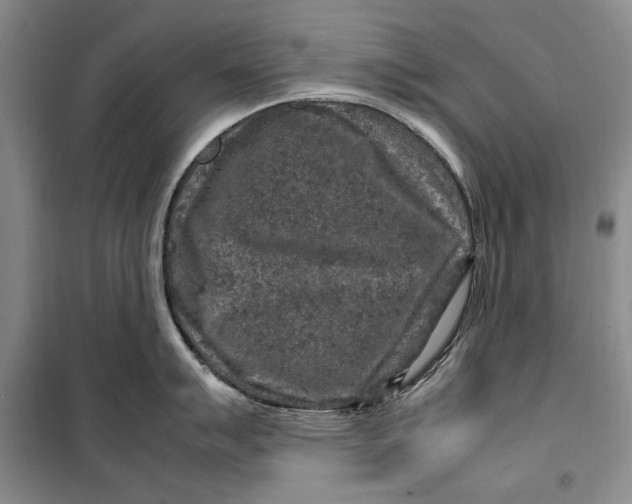 X0000099991007200806131430