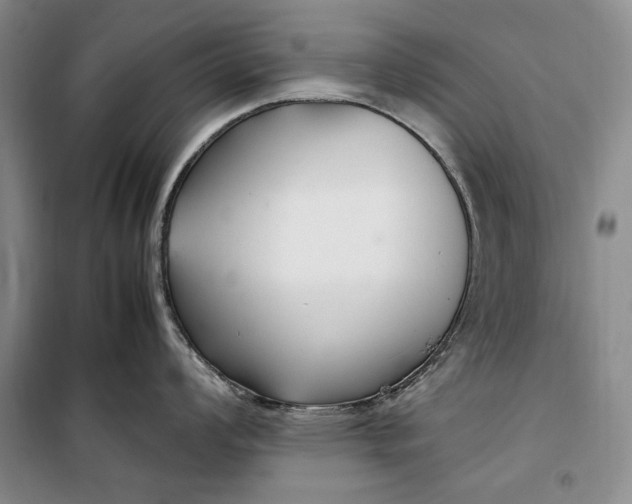 X0000099991008200806131430