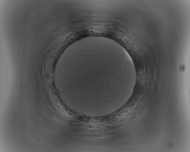 X0000099991009200806131429