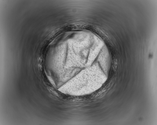 X0000099991010200806131429