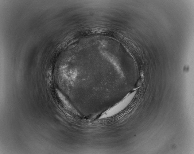 X0000099991011200806131429