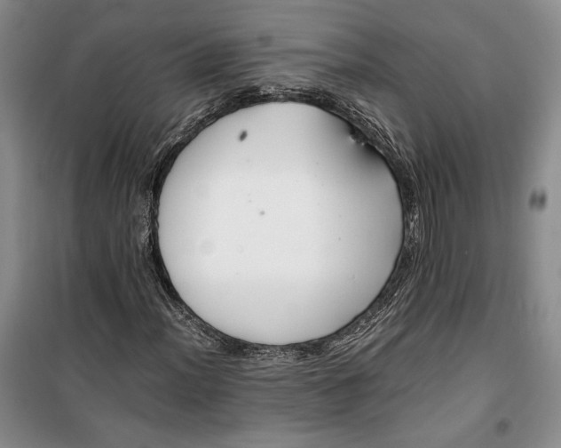 X0000099991012200806131429