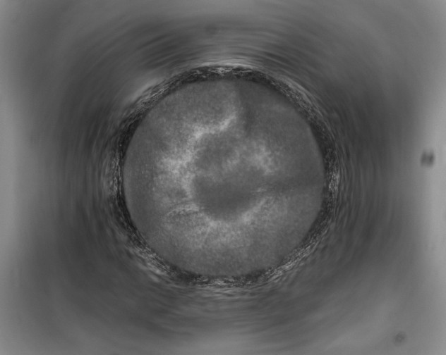 X0000099991014200806131430