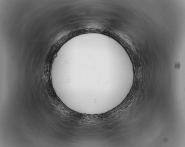 X0000099991015200806131430