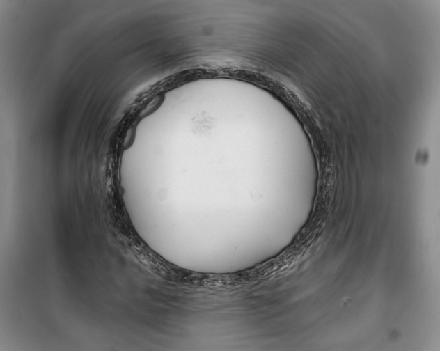 X0000099991016200806131430