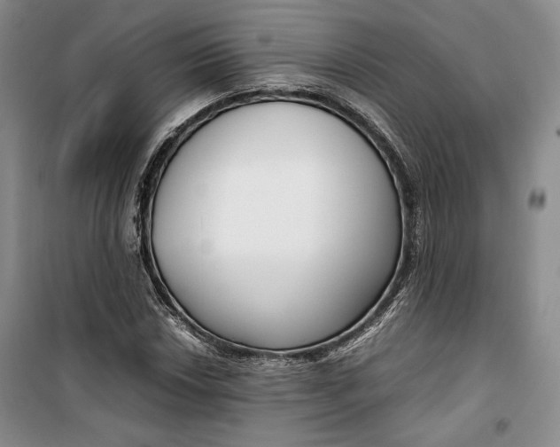 X0000099991018200806131430