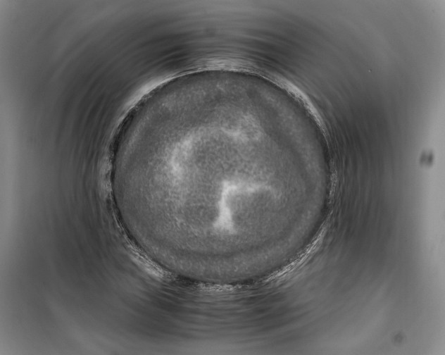 X0000099991019200806131430