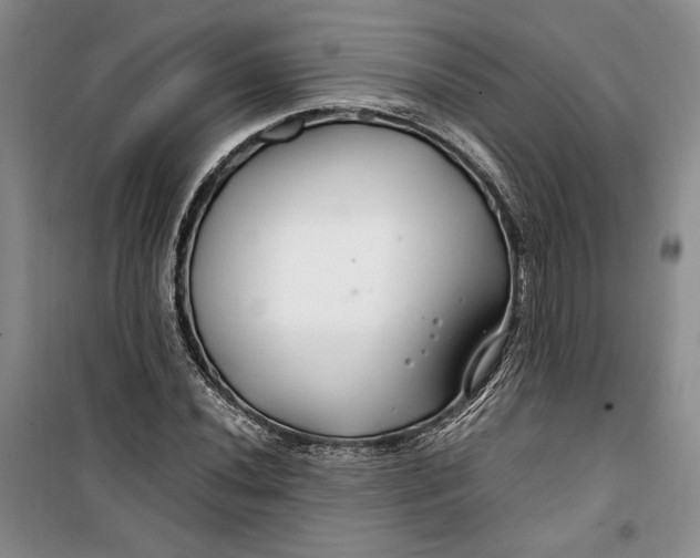 X0000099991020200806131430