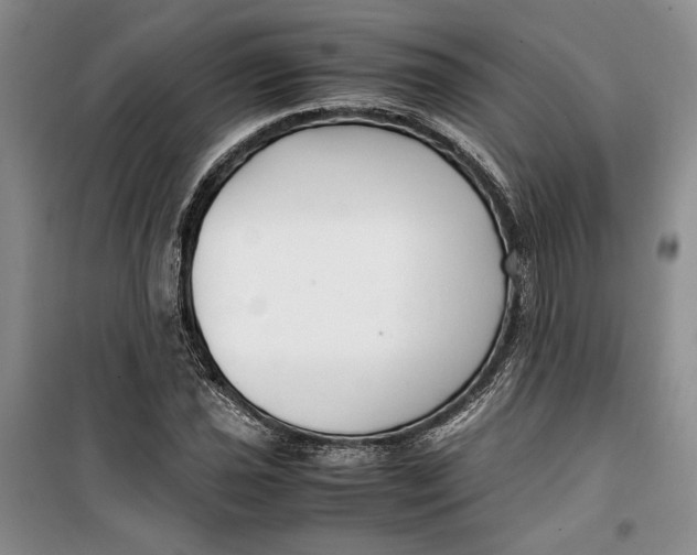 X0000099991021200806131430