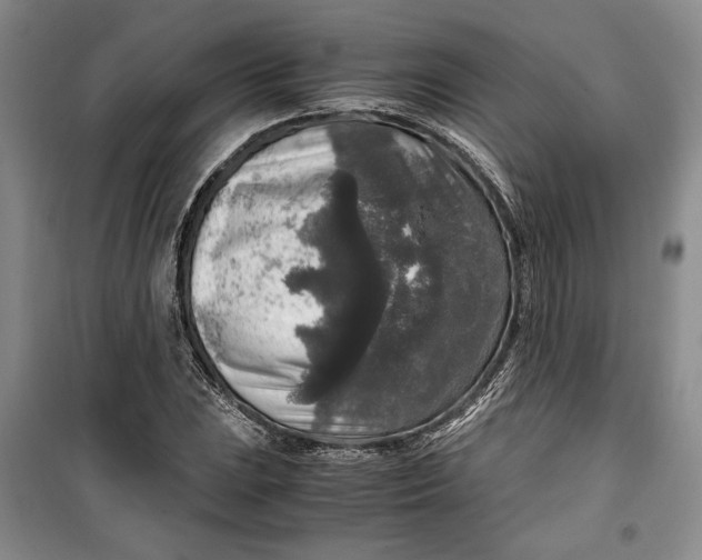 X0000099991023200806131430