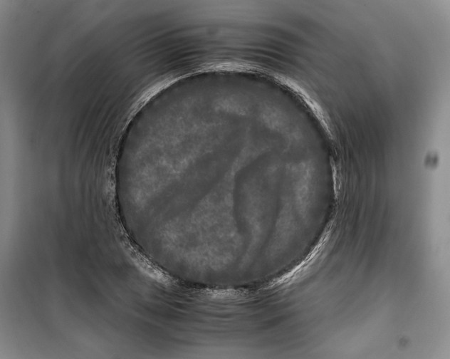 X0000099991025200806131430