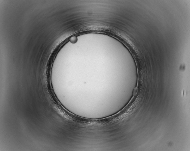 X0000099991026200806131430