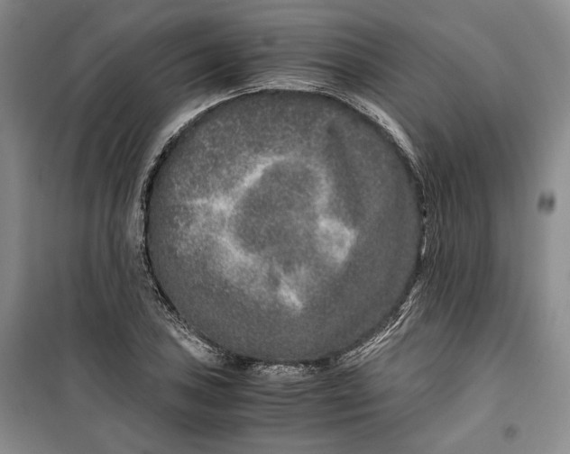 X0000099991027200806131430