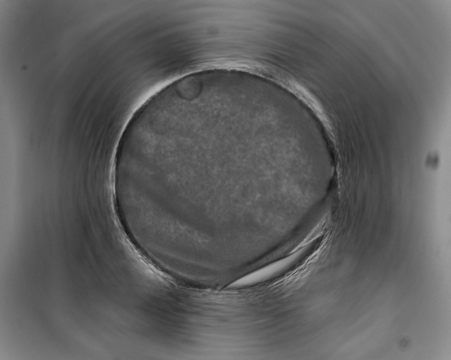 X0000099991028200806131430