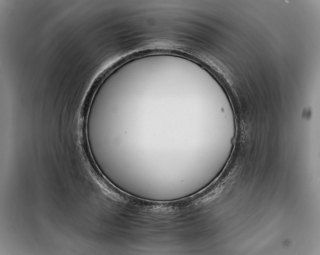 X0000099991029200806131430