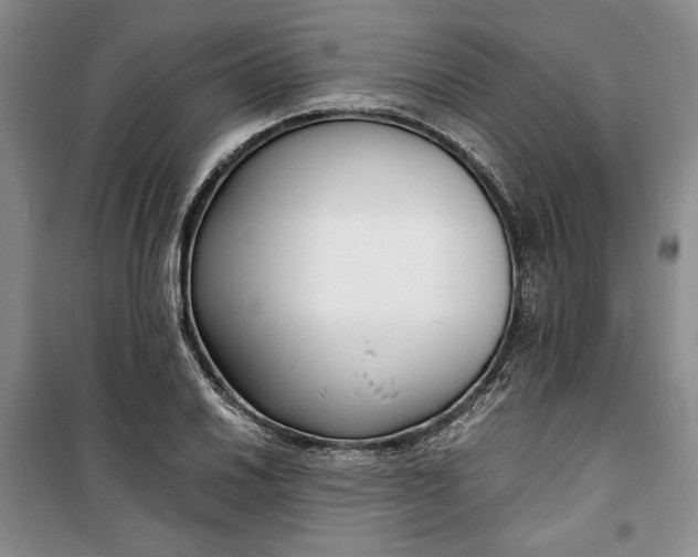 X0000099991030200806131430