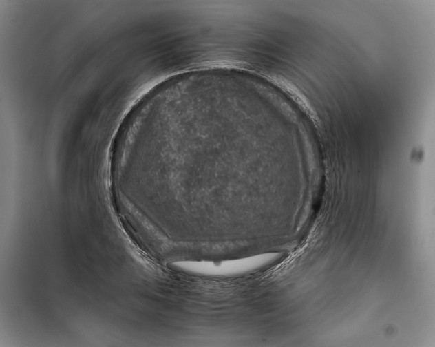 X0000099991031200806131430