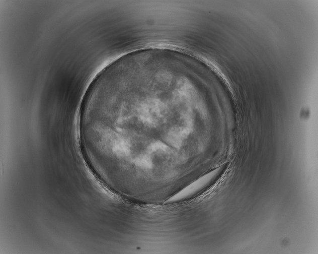 X0000099991032200806131430