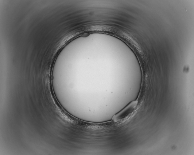 X0000099991033200806131430