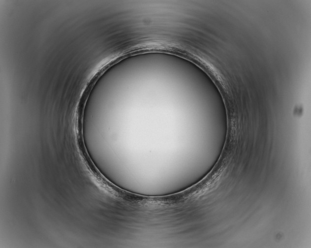 X0000099991034200806131430