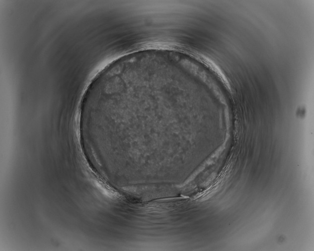 X0000099991035200806131430