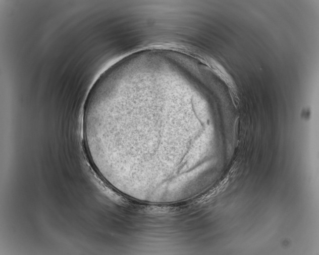 X0000099991036200806131430