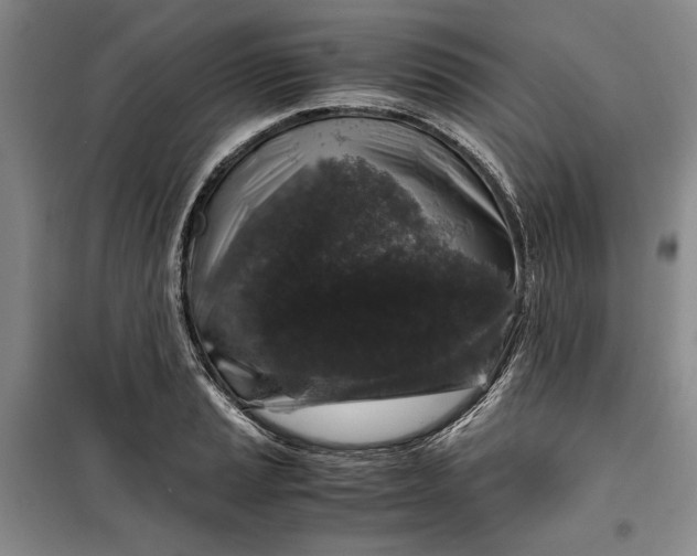 X0000099991037200806131430