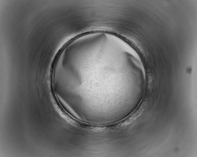 X0000099991038200806131430