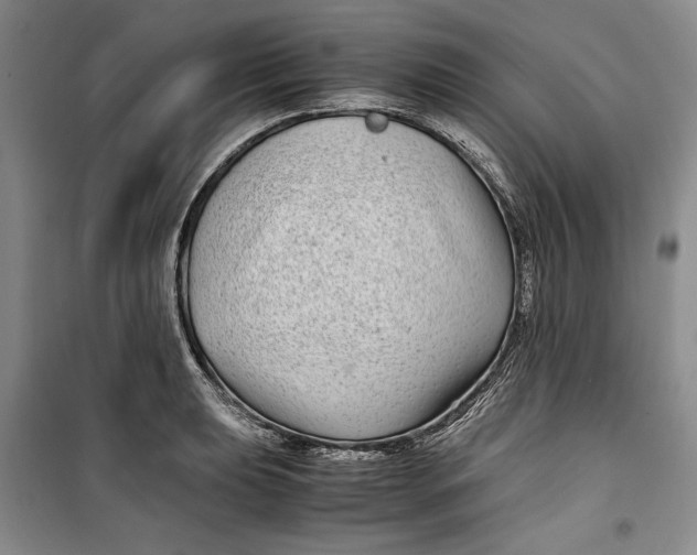 X0000099991039200806131430