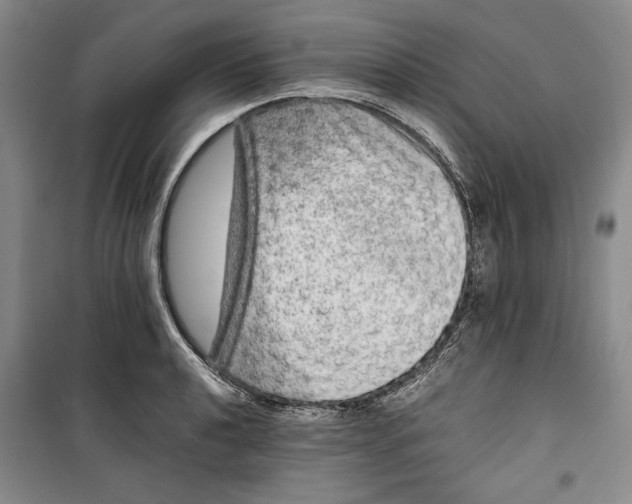 X0000099991040200806131430