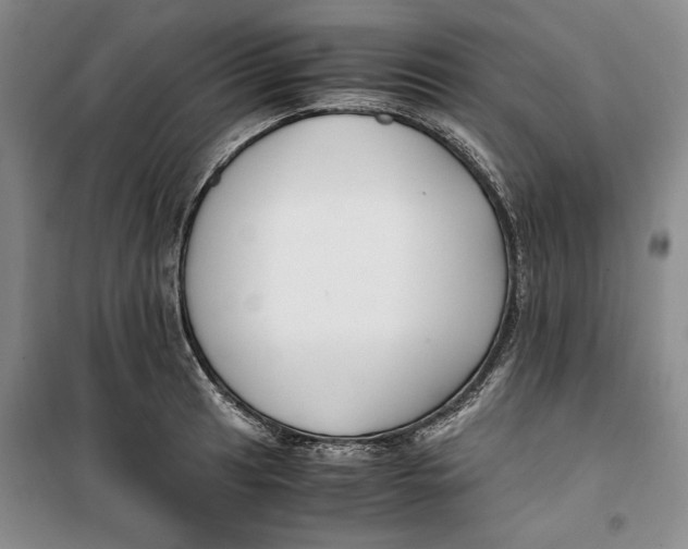 X0000099991041200806131430