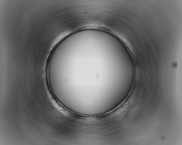 X0000099991042200806131430