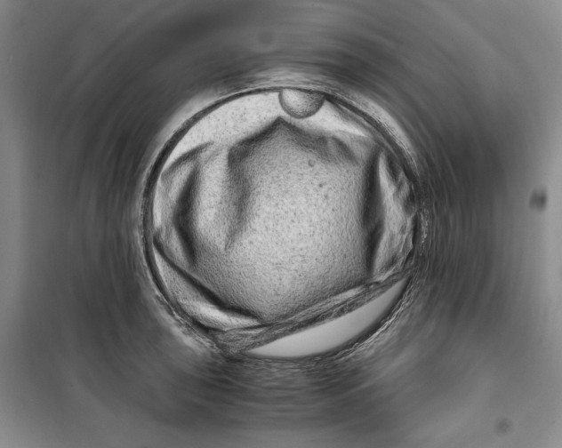 X0000099991043200806131430