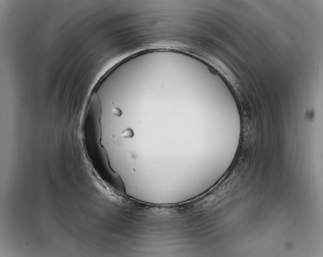 X0000099991044200806131430